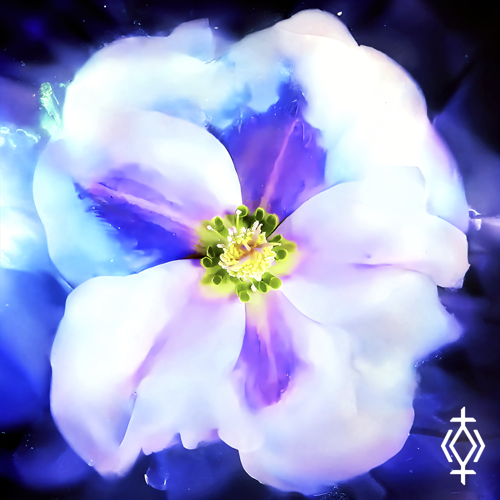 Zrmpa, REGNETAISE - ANGEL GLOW EP