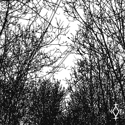 Psykh x Phusis x Seramonies - Spiritcaller (Zrmpa Remix)